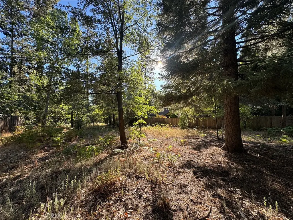 0 Fern Valley Road, Idyllwild, CA 92549 - #1