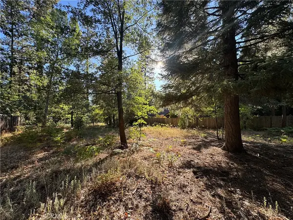 0 Fern Valley Road, Idyllwild, CA 92549