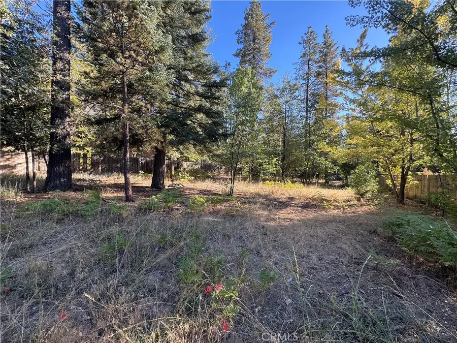 0 Fern Valley Road, Idyllwild, CA 92549 - #2