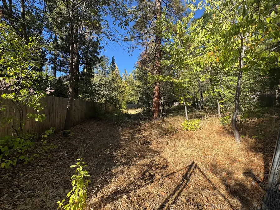 0 Fern Valley Road, Idyllwild, CA 92549 - #3