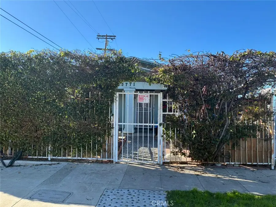 3771 S Catalina, Los Angeles, CA 90007 - #2