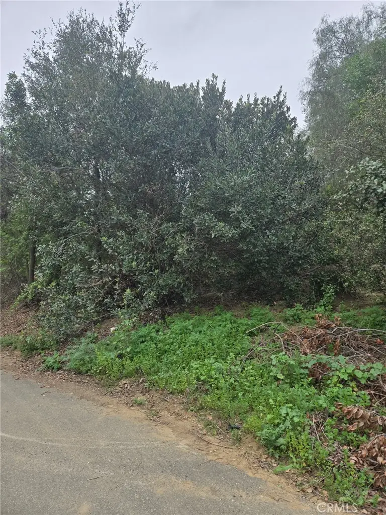 16872 Sumach, Chino Hills, CA 91709 - #2