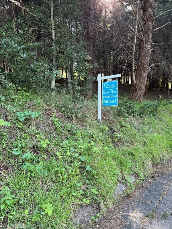 767 Spring Road, Shelter Cove, CA 95589