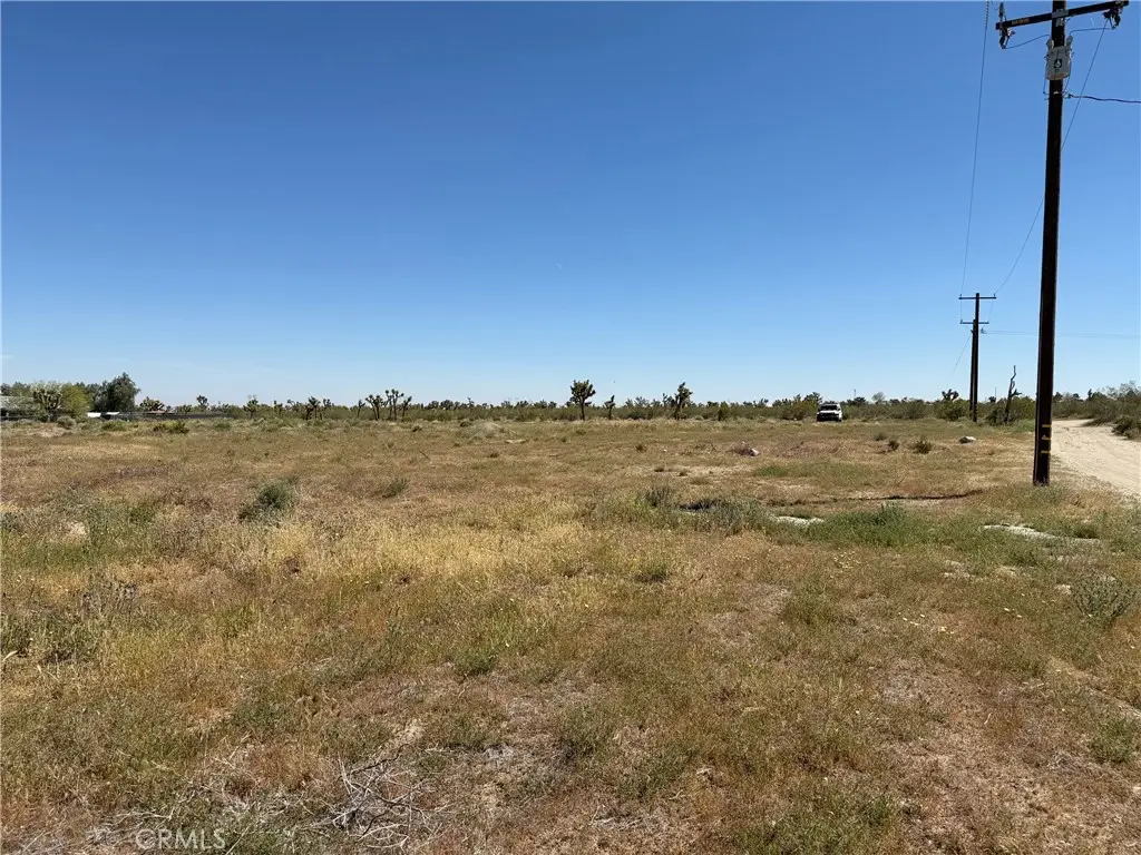 1080 Danbury, Pinon Hills, CA 92372 - #1