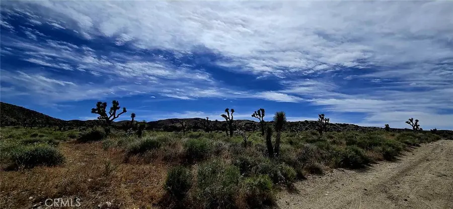8900 Bainard Canyon Road, Littlerock, CA 93550 - #2