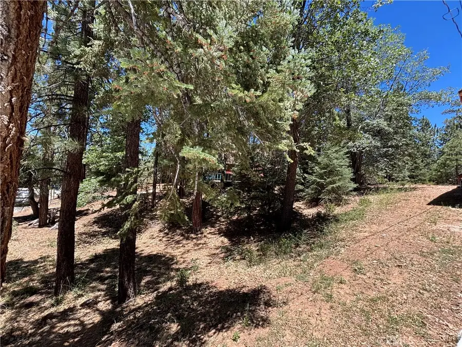 815 Conklin, Big Bear Lake, CA 92315 - #2