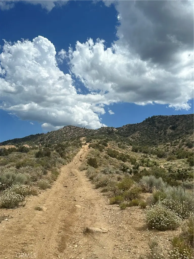 0 Crystal Aire, Pinon Hills, CA 92372 - #3