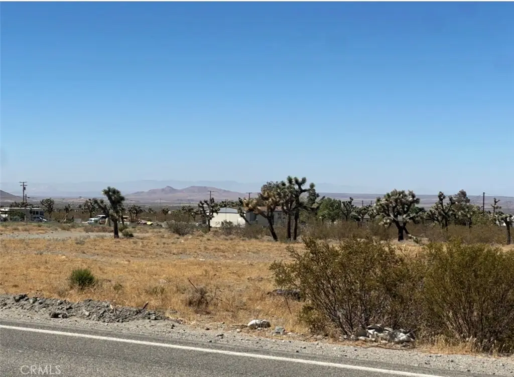 0 Bear Valley Road, Pinon Hills, CA 92372 - #1