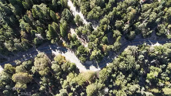 0 Strawberry Ln, Twin Peaks, CA 92391