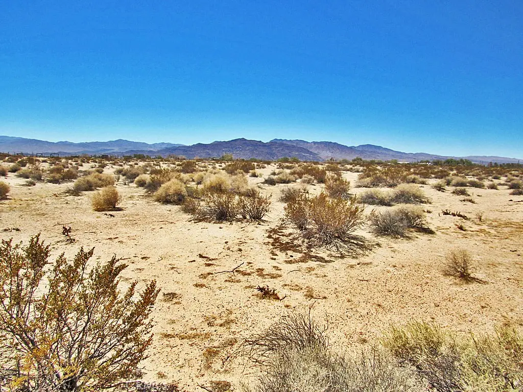 34348 Lakeview Avenue, Newberry Springs, CA 92365 - #1