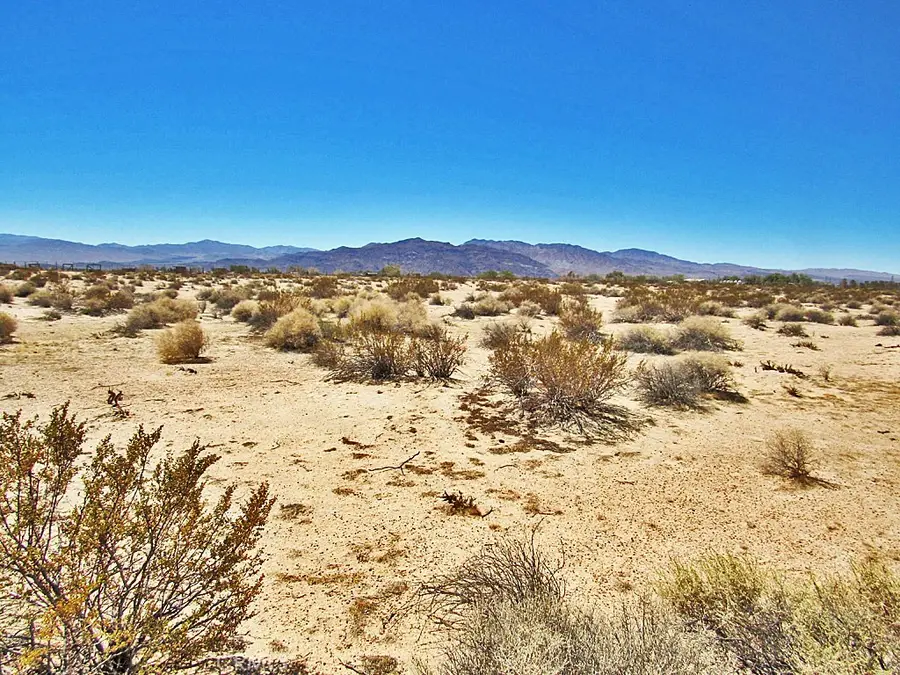 34348 Lakeview Avenue, Newberry Springs, CA 92365 - #3