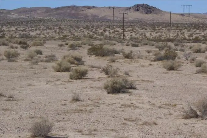 0 Mannix, Newberry Springs, CA 92365 - #1