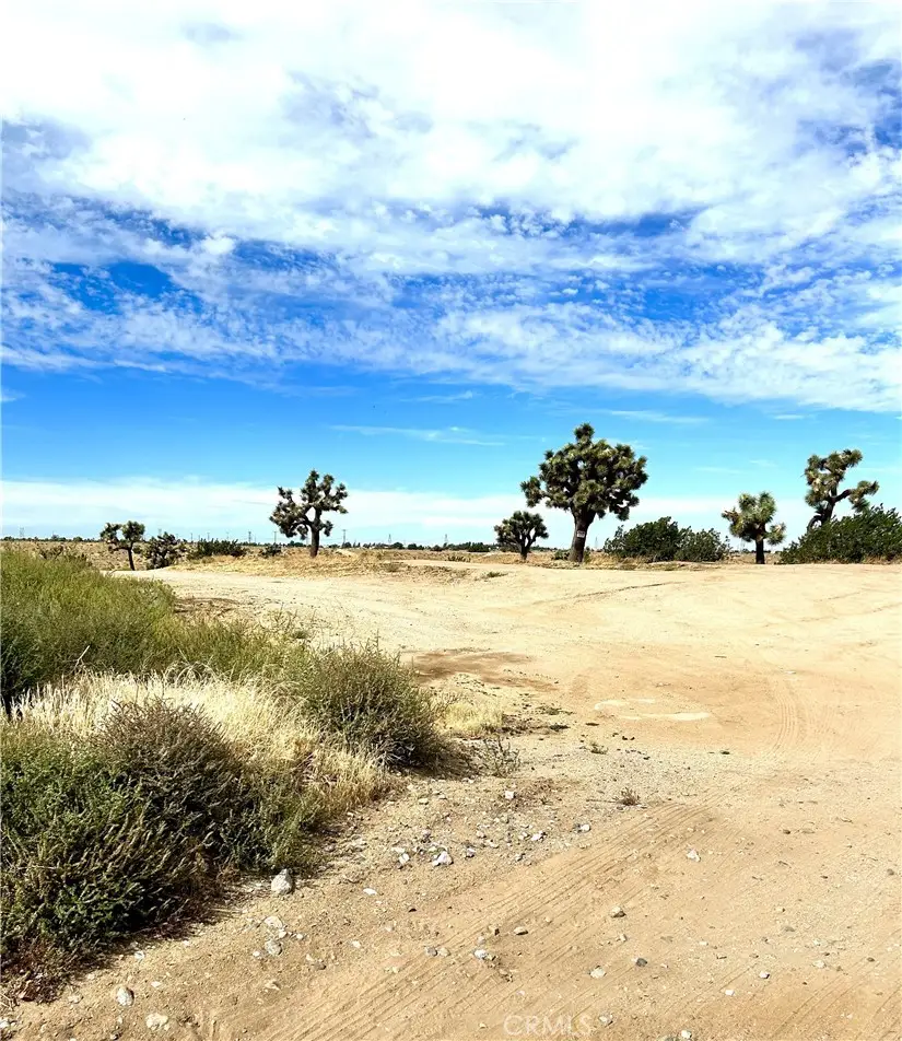 1 N Lis N Buckthorne C Road, Helendale, CA 92342 - #1