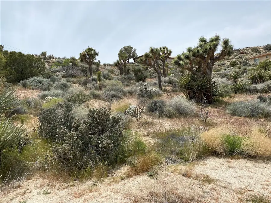 0 Farrelo Road, Yucca Valley, CA 92284 - #3