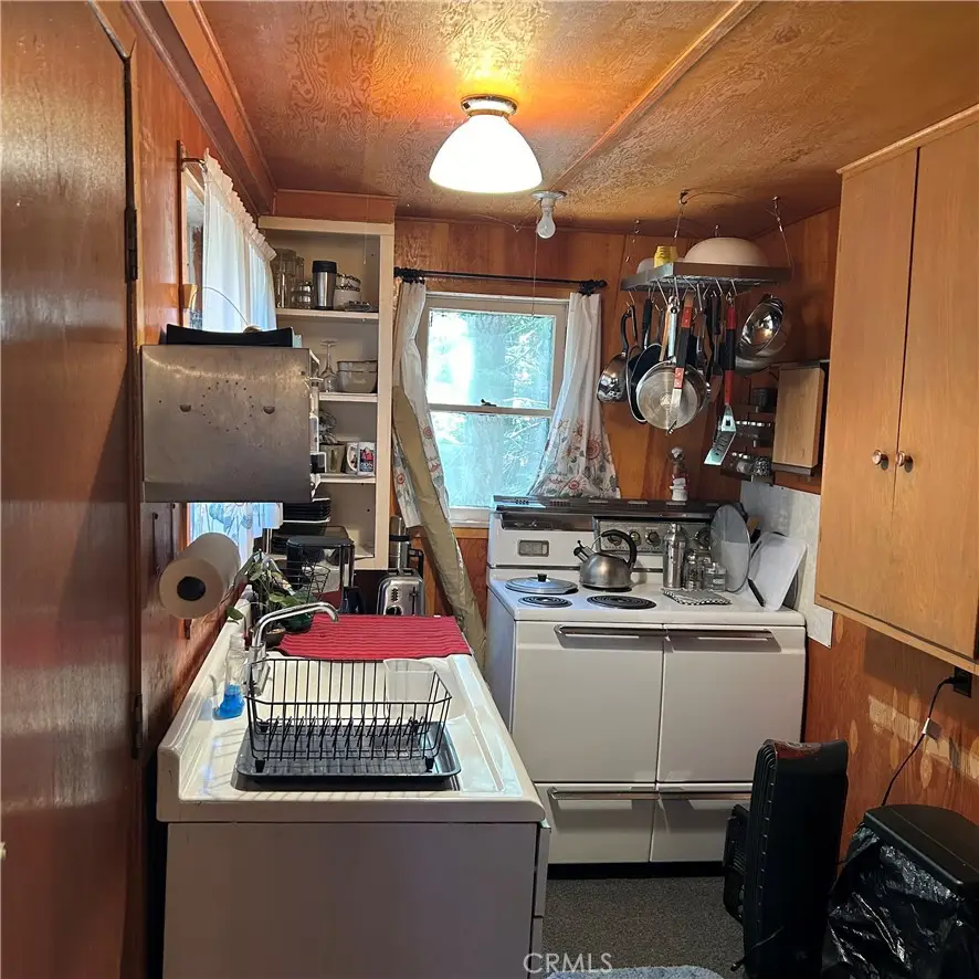 119 Barton Flats Trail, Angelus Oaks, CA 92305 - #2