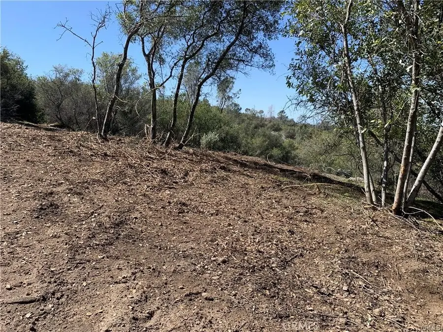 123 Quartz Mountain, Coarsegold, CA 93614 - #2