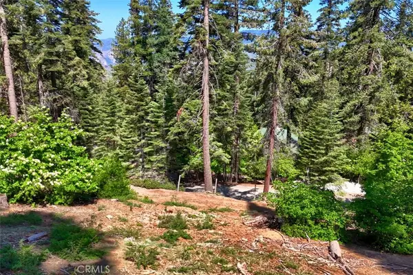 7420 Henness Ridge Road, Yosemite, CA 95389