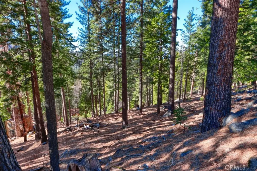 7349 & 7473 Yosemite Park Way, Yosemite West, CA 95389 - Image #1