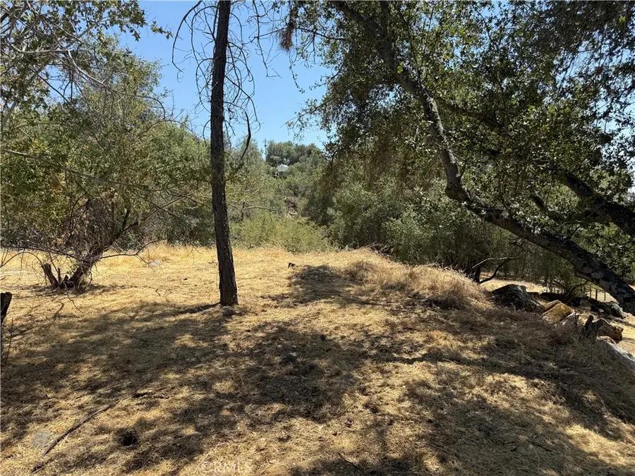 1 N Dome Drive, Coarsegold, CA 93614 - #3