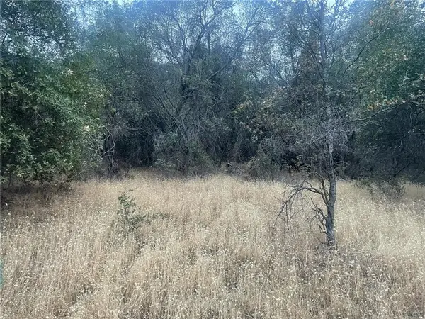 43020 Apache Ranch Road, Ahwahnee, CA 93601