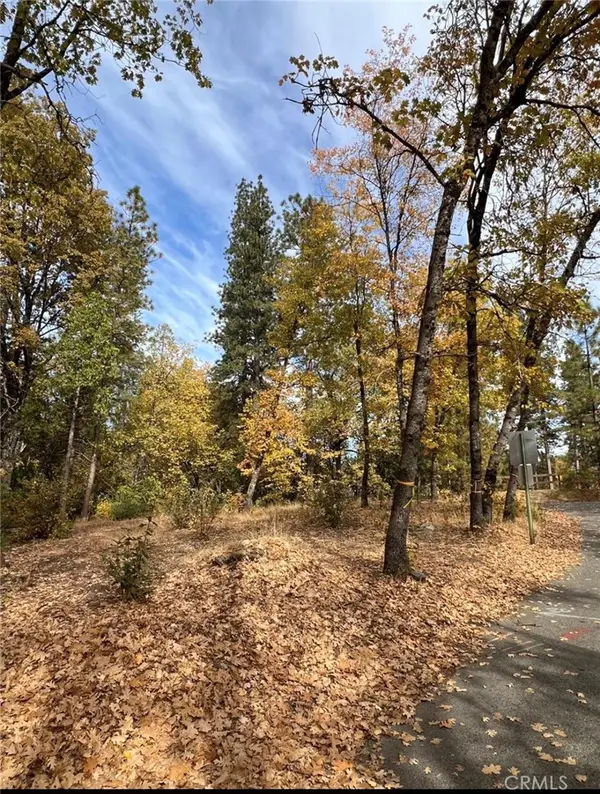 54692 Bluegill, Bass Lake, CA 93604