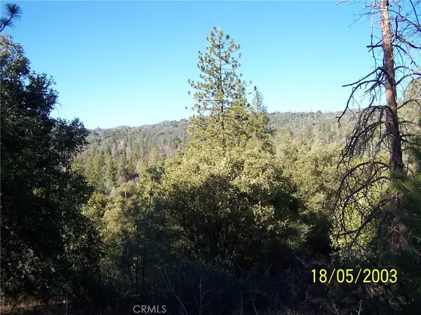 10 Jean Rd West, Oakhurst, CA 93644