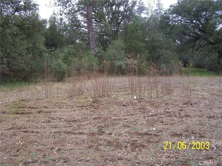 10 Jean Rd West, Oakhurst, CA 93644 - #3