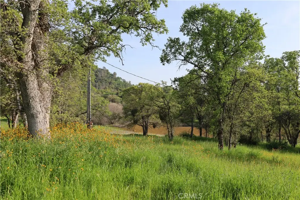 0 Douglas Road, Coarsegold, CA 93614 - #1