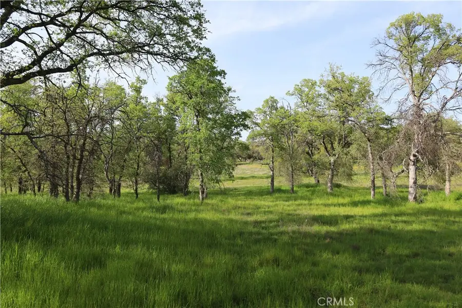 0 Douglas Road, Coarsegold, CA 93614 - #3