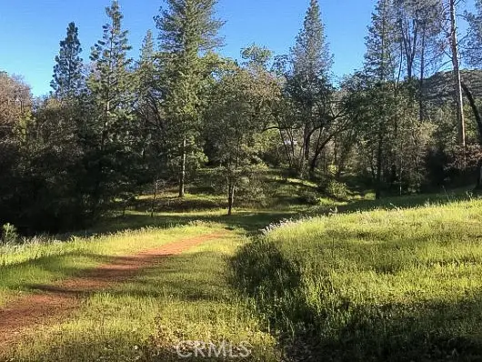 4743 Buffalo Gulch Road, Midpines, CA 95345 - #2