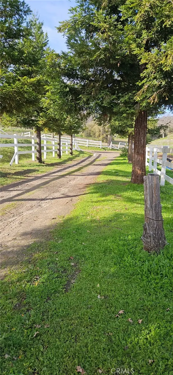 33555 Merrill Ranch Road, O Neals, CA 95645 - #3