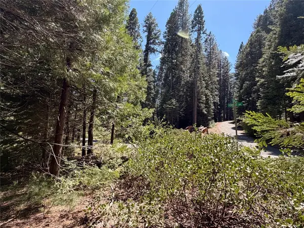 7631 Forest, Fish Camp, CA 93623