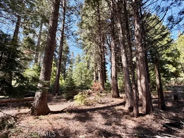 7631 Forest, Fish Camp, CA 93623 - #2