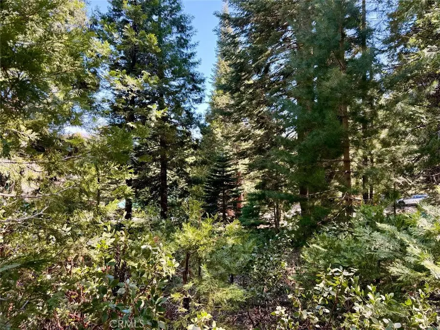 7631 Forest, Fish Camp, CA 93623 - #3