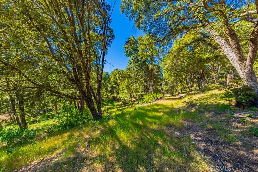 0 3 Springs Road, Oakhurst, CA 93644 - #2