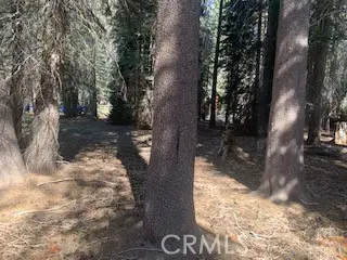 4142 Redtop, Bass Lake, CA 93604 - #3