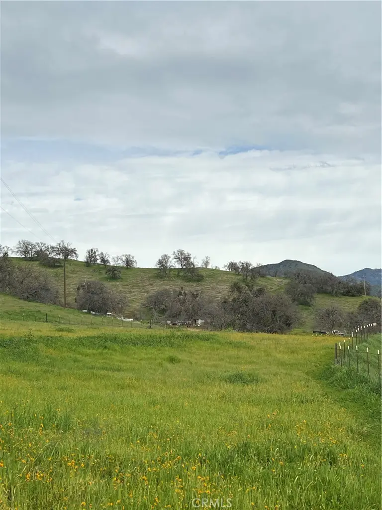 30284 Bear Mountain, Squaw Valley, CA 93675 - #3