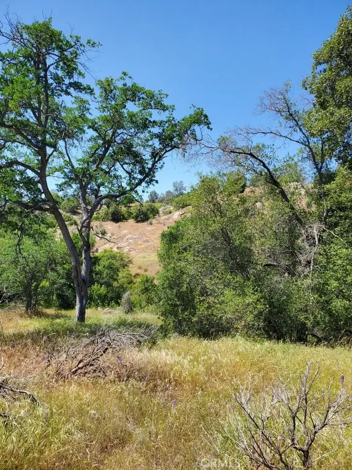 0 Lot 1952 Ranger Circle Drive, Coarsegold, CA 93614 - #3