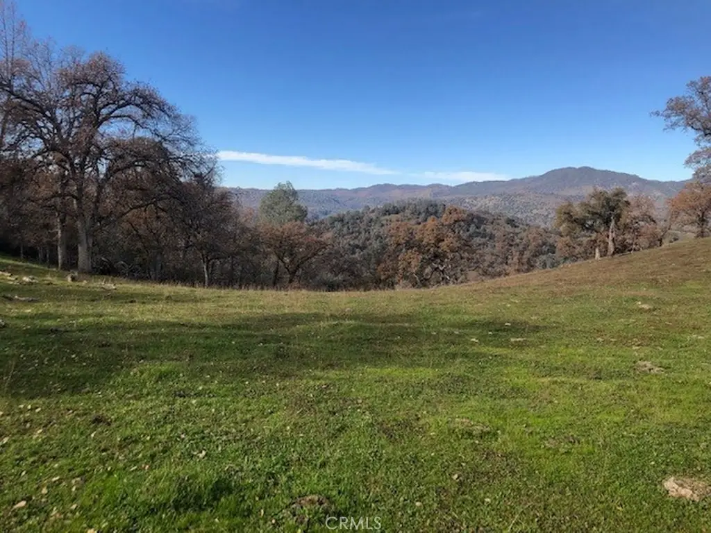 157 Acres Mountain View Peak Road, Oneals, CA 93645 - #1