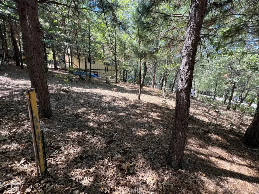 28195 N Bay Road, Lake Arrowhead, CA 92352 - Image #2