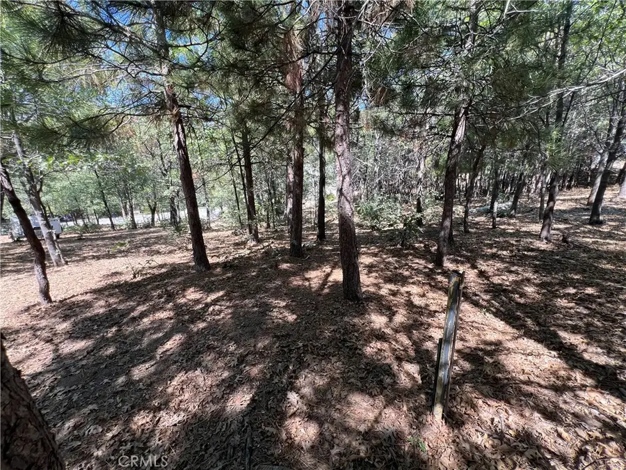 28195 N Bay Road, Lake Arrowhead, CA 92352 - Image #3