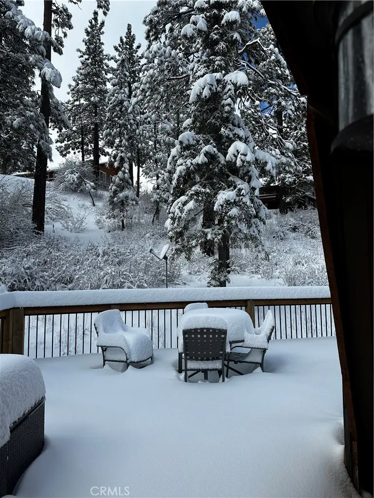43433 Primrose Court, Big Bear Lake, CA 92315 - #2