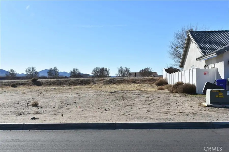 27231 Peach Tree Lane, Helendale, CA 92342 - #2