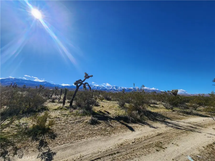 0 Vac/vic Avenue V10/160 Ste, Llano, CA 93591 - #2