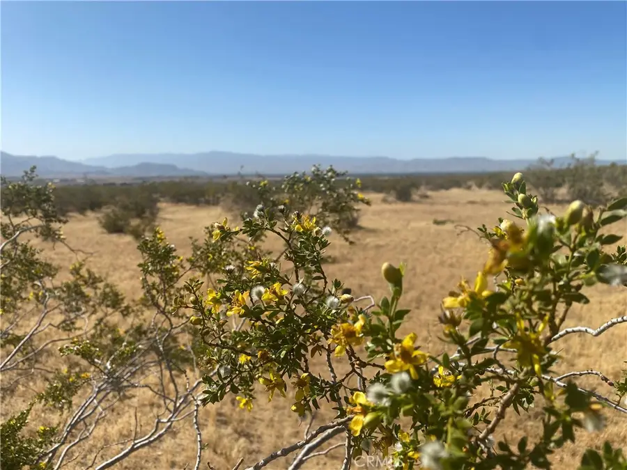 1 Falchion Road, Apple Valley, CA 92307 - #2