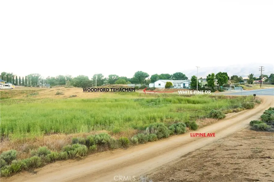 219 Lot Lupine, Tehachapi, CA 93561 - #2
