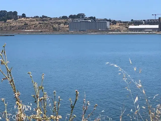 0 Hollister Avenue, San Francisco, CA 94124 - #2