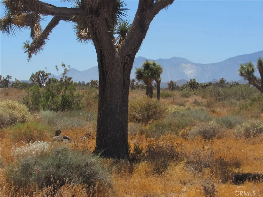 0 Goss Road, Phelan, CA 92371 - #1