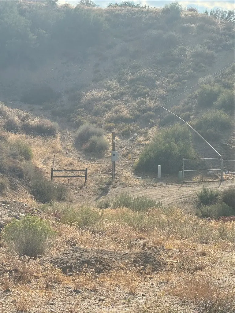 8320 Zohra Canyon Road, Pinon Hills, CA 92372 - Image #2