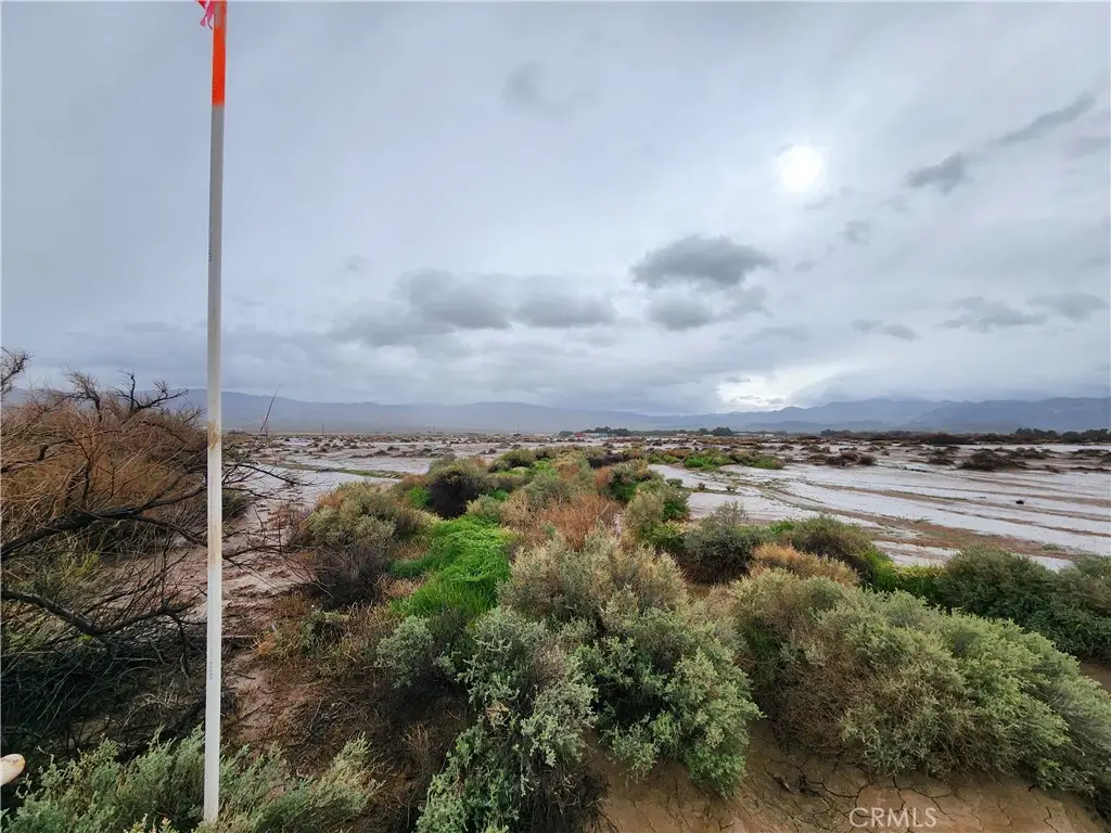 20 Morgan Lane, Newberry Springs, CA 92356 - #1